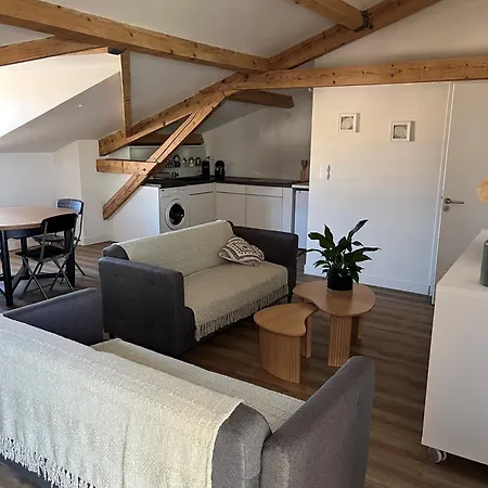 Les Voutes De Villebourbon Apartman Montauban